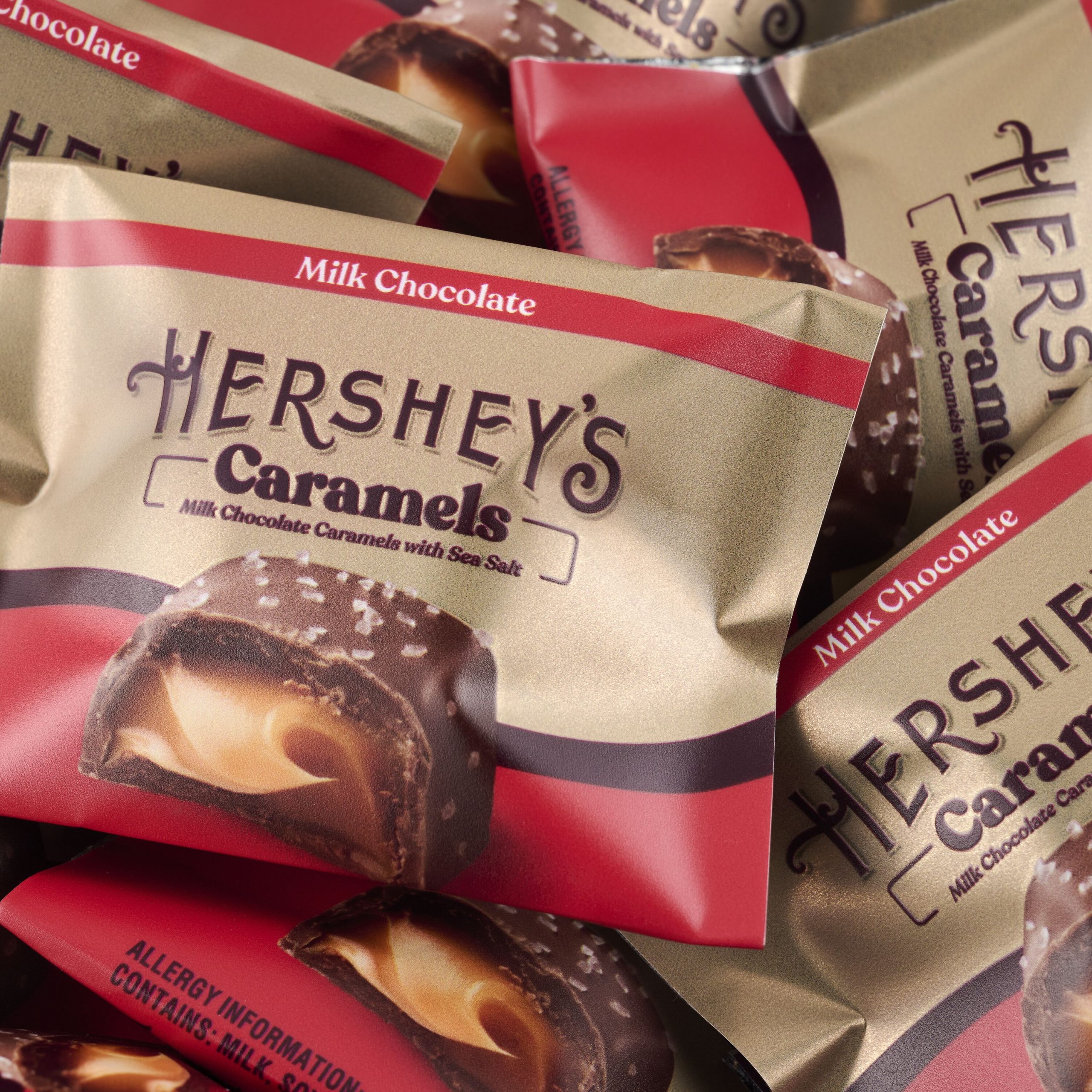 HERSHEY’S Caramels Candy Gift Tin, 1 lb - THE HERSHEY COMPANY